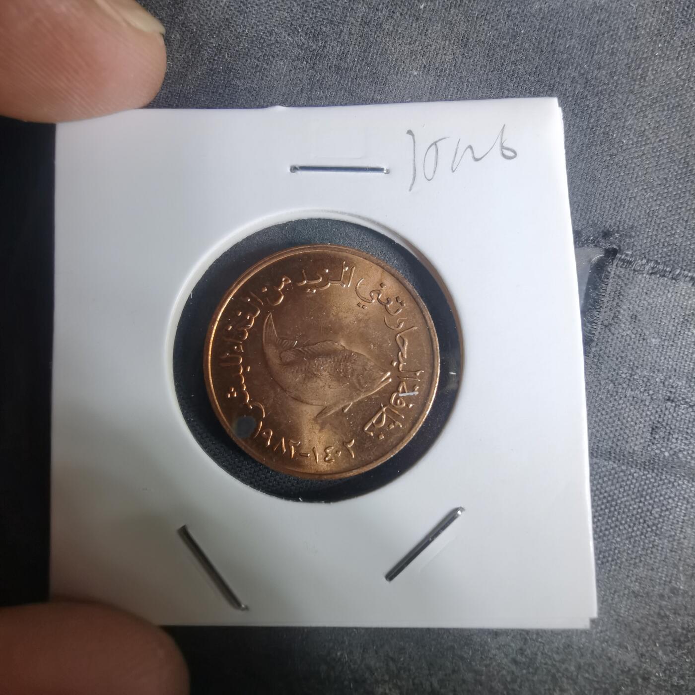 沼泽如烟--第935场