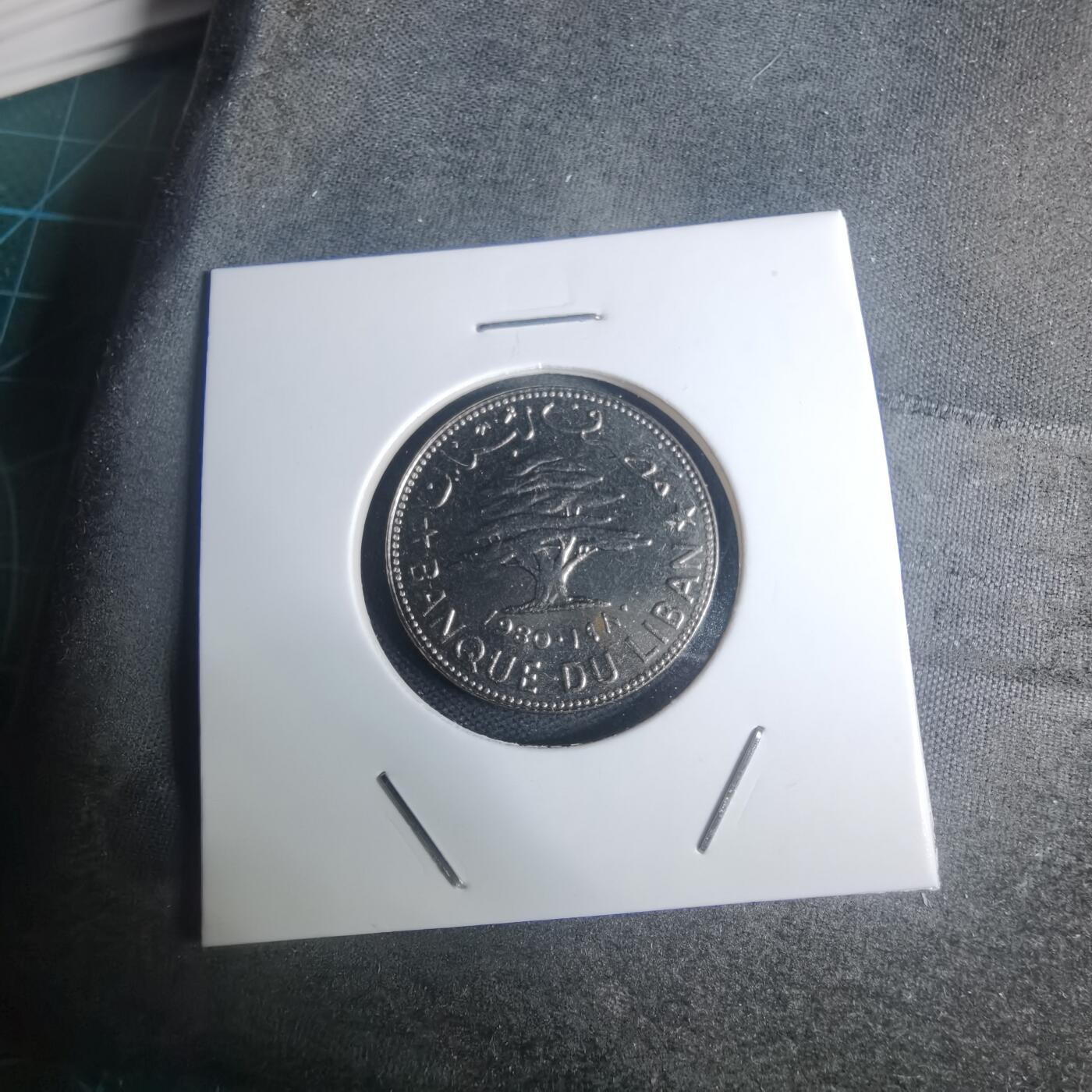 沼泽如烟--第935场