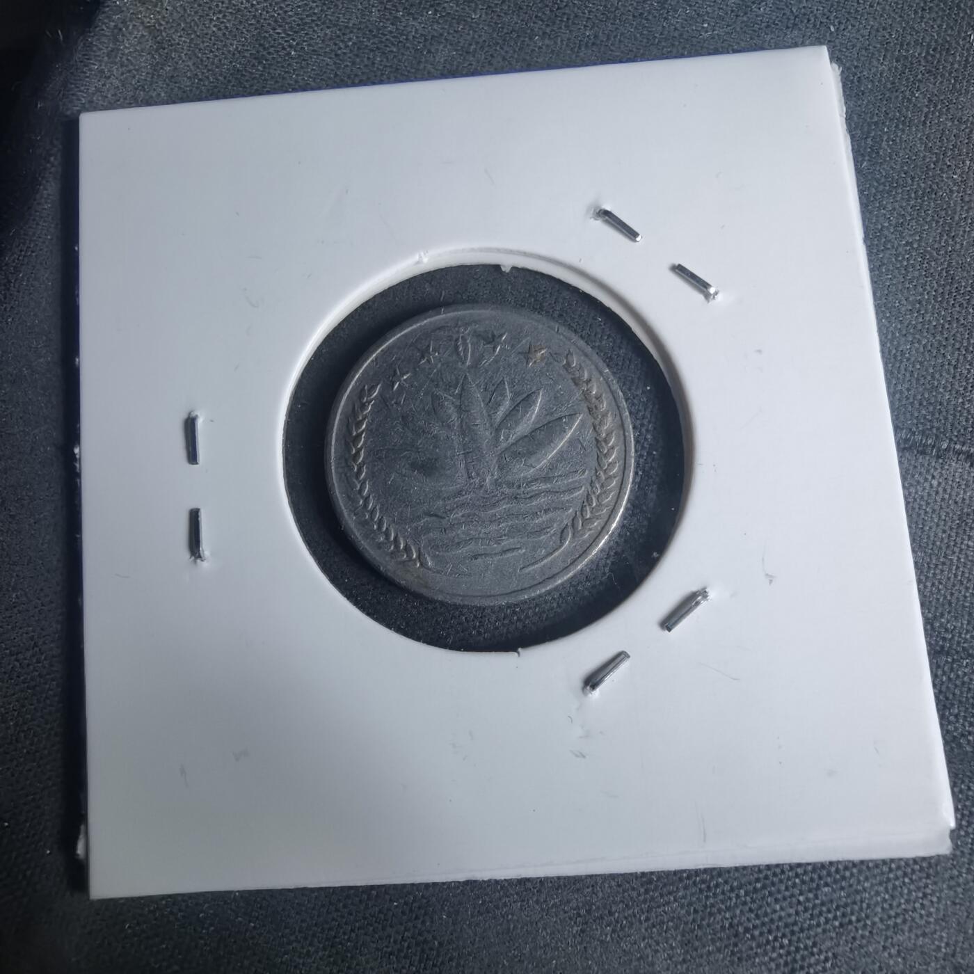 沼泽如烟--第935场 孟加拉鱼