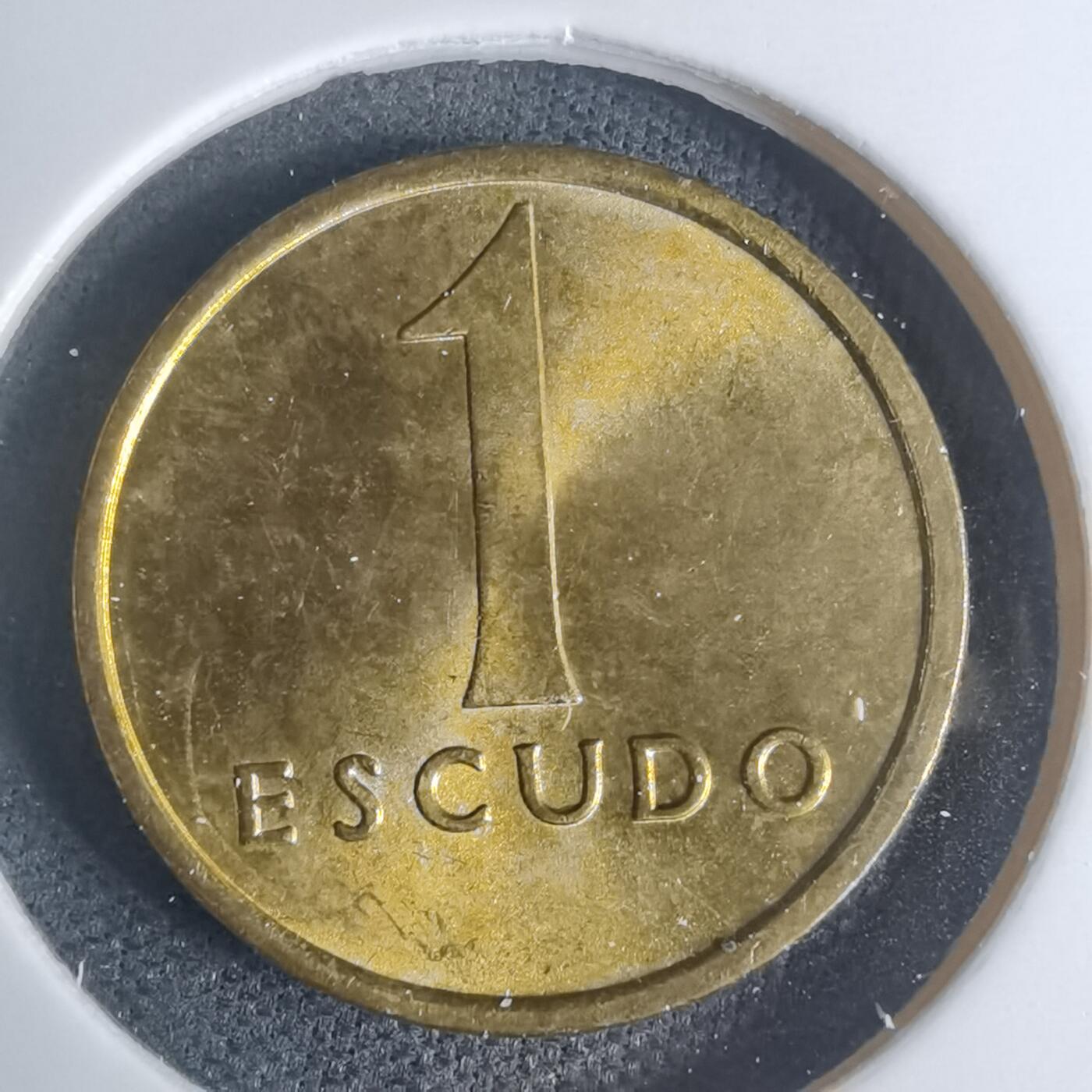 沼泽如烟--第935场