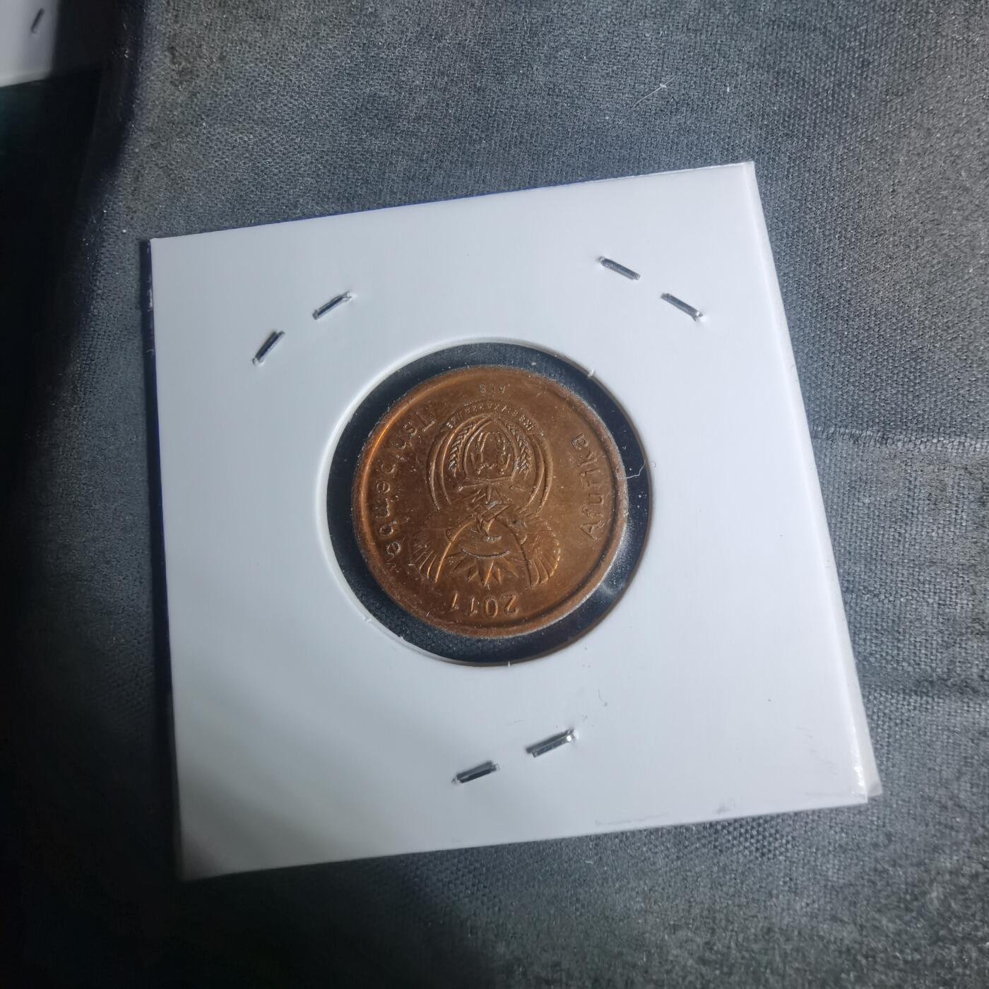 沼泽如烟--第934场 南非2011年五分