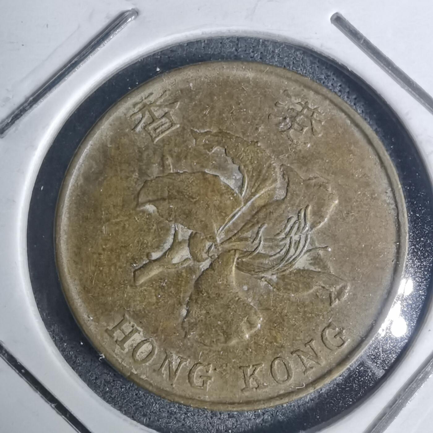 沼泽如烟--第934场