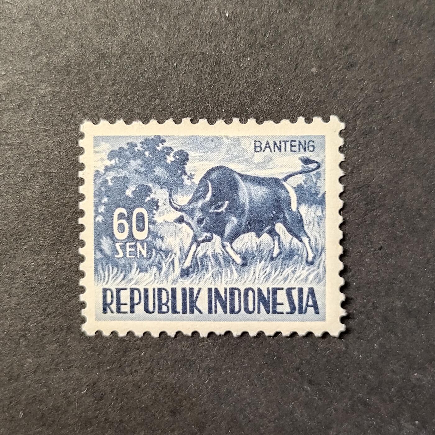 嘉禾收藏    【第408期】            无佣金、可寄存、满30元包邮 邮票一枚