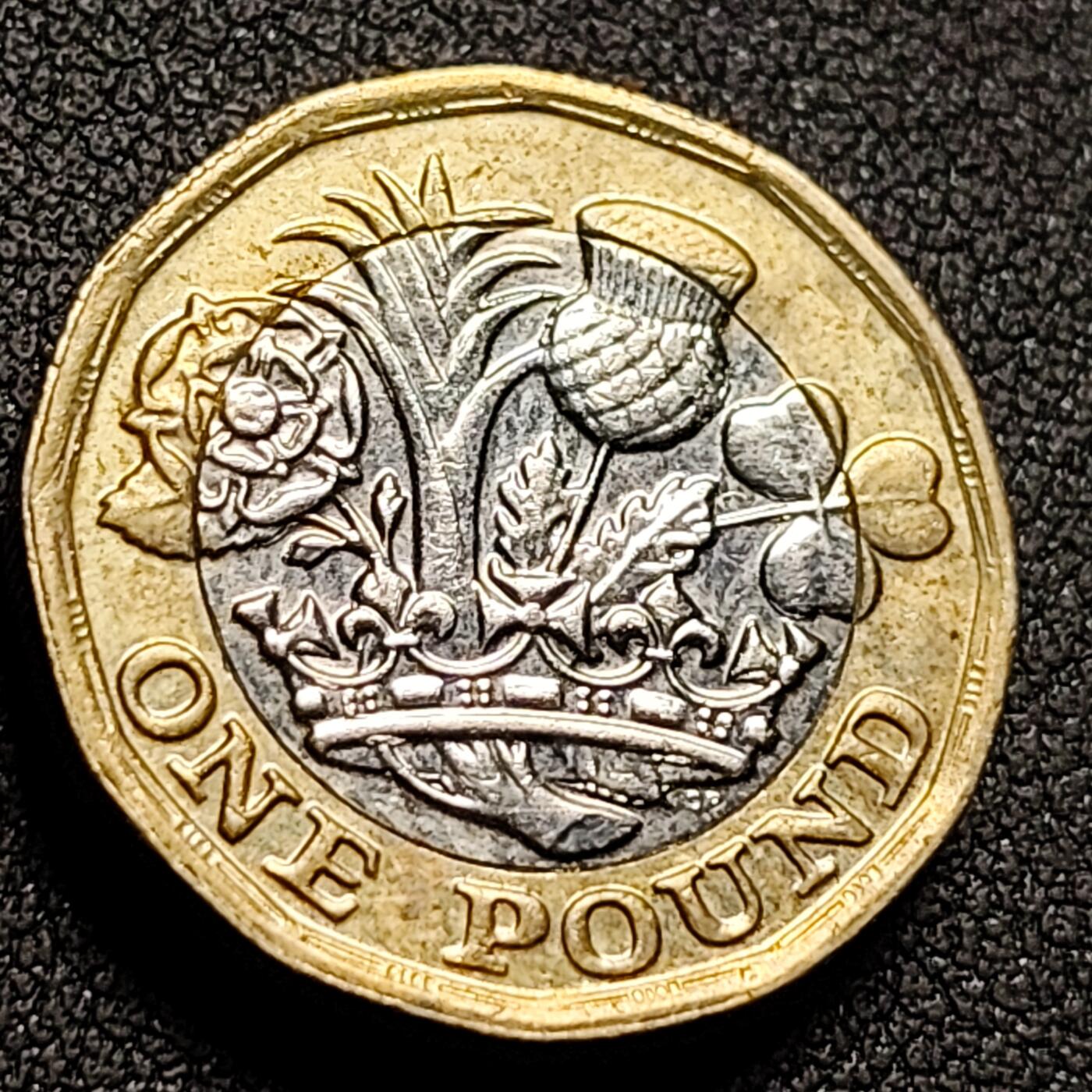 泉币菌-第147场-精品福利场 。