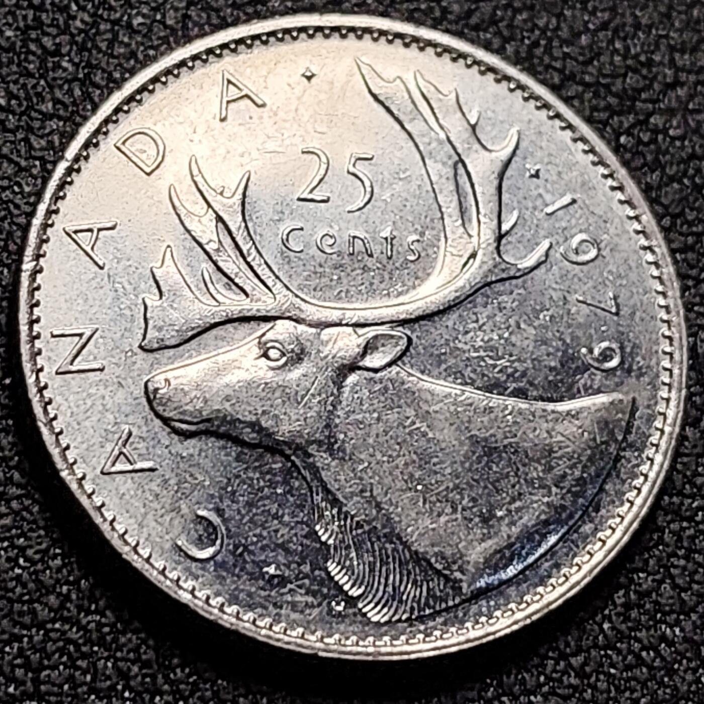 泉币菌-第147场-精品福利场 。