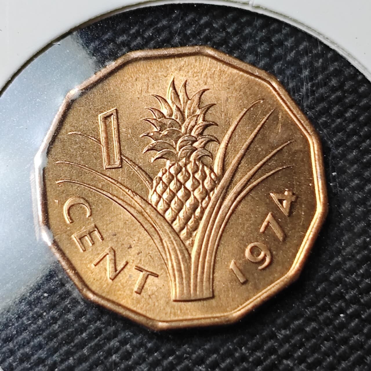 KK钱币收藏小铺 第380期  2月预留时间 周末发货  1974斯威士兰1分铜币 好品