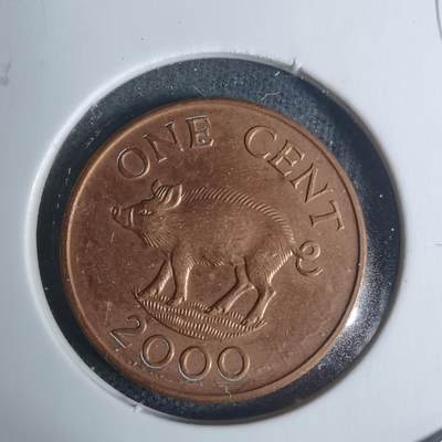 沼泽如烟--第934场 - 百慕大2000年一分