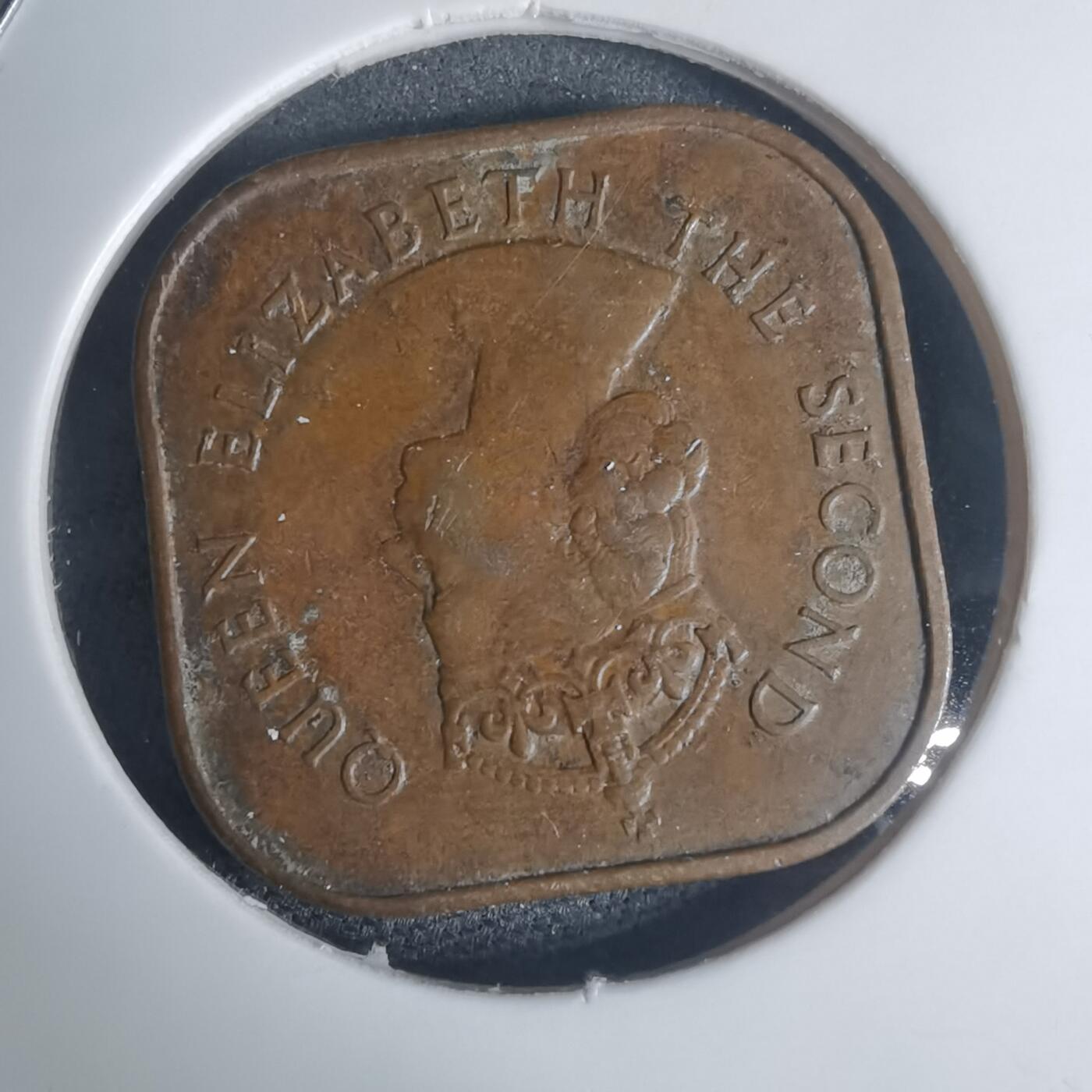 沼泽如烟--第935场