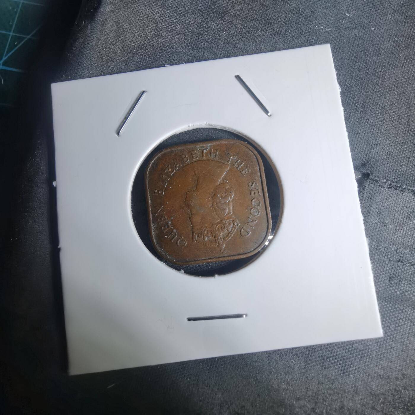 沼泽如烟--第935场