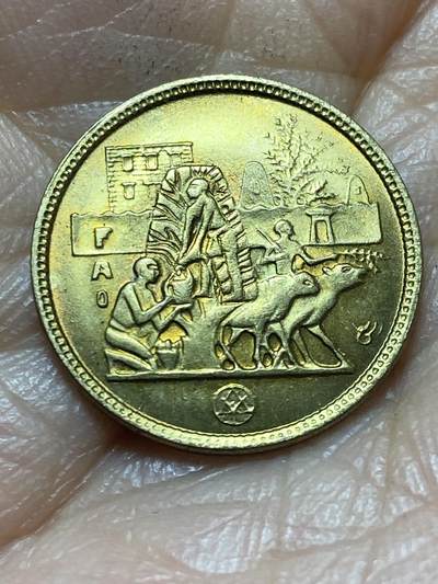 2025年第一百三十七场(总第一百六十三场）外国好品散币场(免佣金) - 原光好品–埃及🇪🇬1977单年份5米利姆(FAO纪念币)