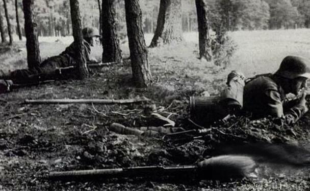 第三帝国最后官方邮票《德意志帝国战斗到底》末日“关门票”一套2枚全