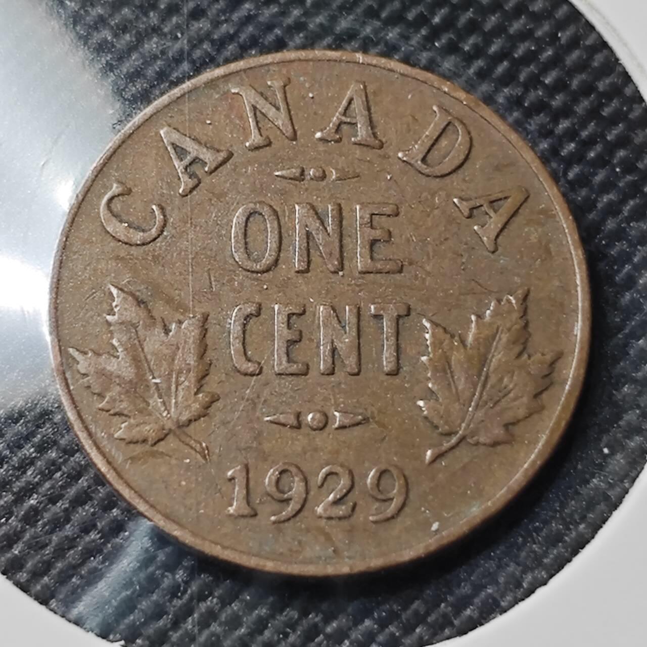 KK钱币收藏小铺 第380期  2月预留时间 周末发货 加拿大1分铜币 