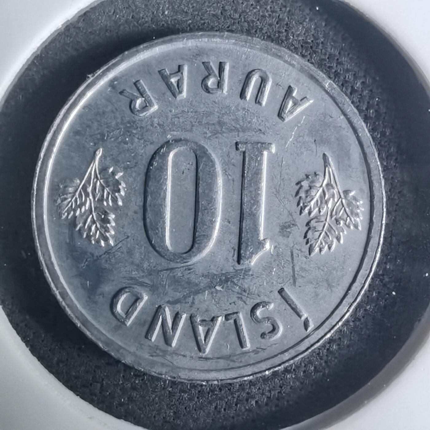 沼泽如烟--第935场