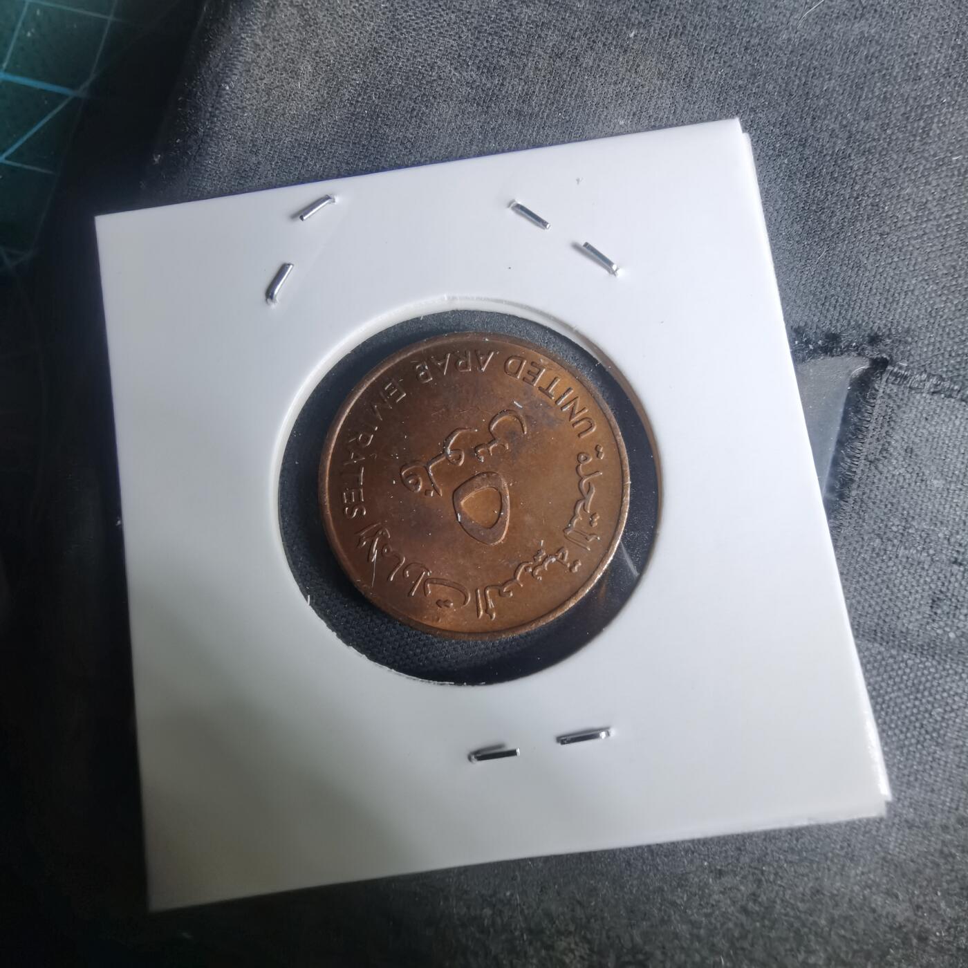 沼泽如烟--第935场