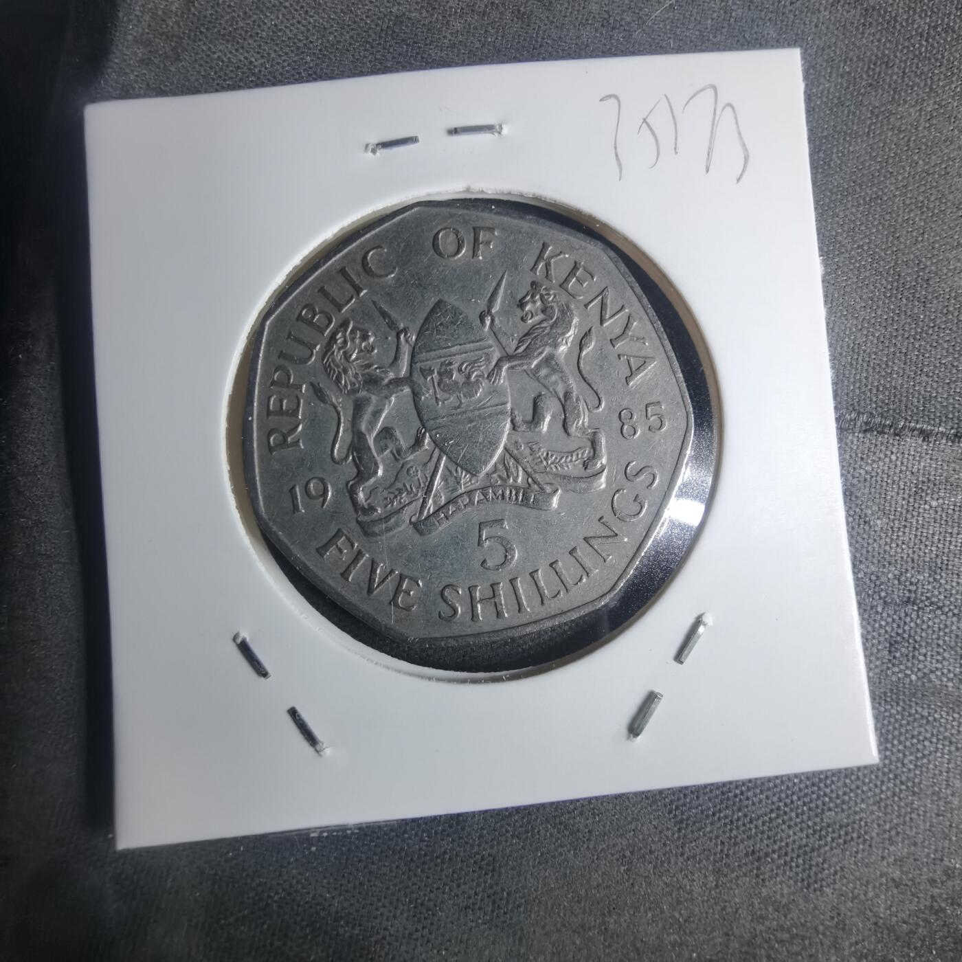 沼泽如烟--第935场