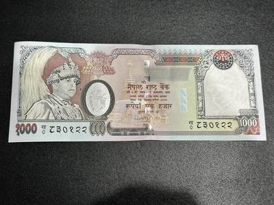 《外钞收藏家》第五百九十四期（畅拍场）（本平台长期征集拍品、欢迎藏友们联系合作） - 尼泊尔1000卢比 有针孔 UNC- 尾22