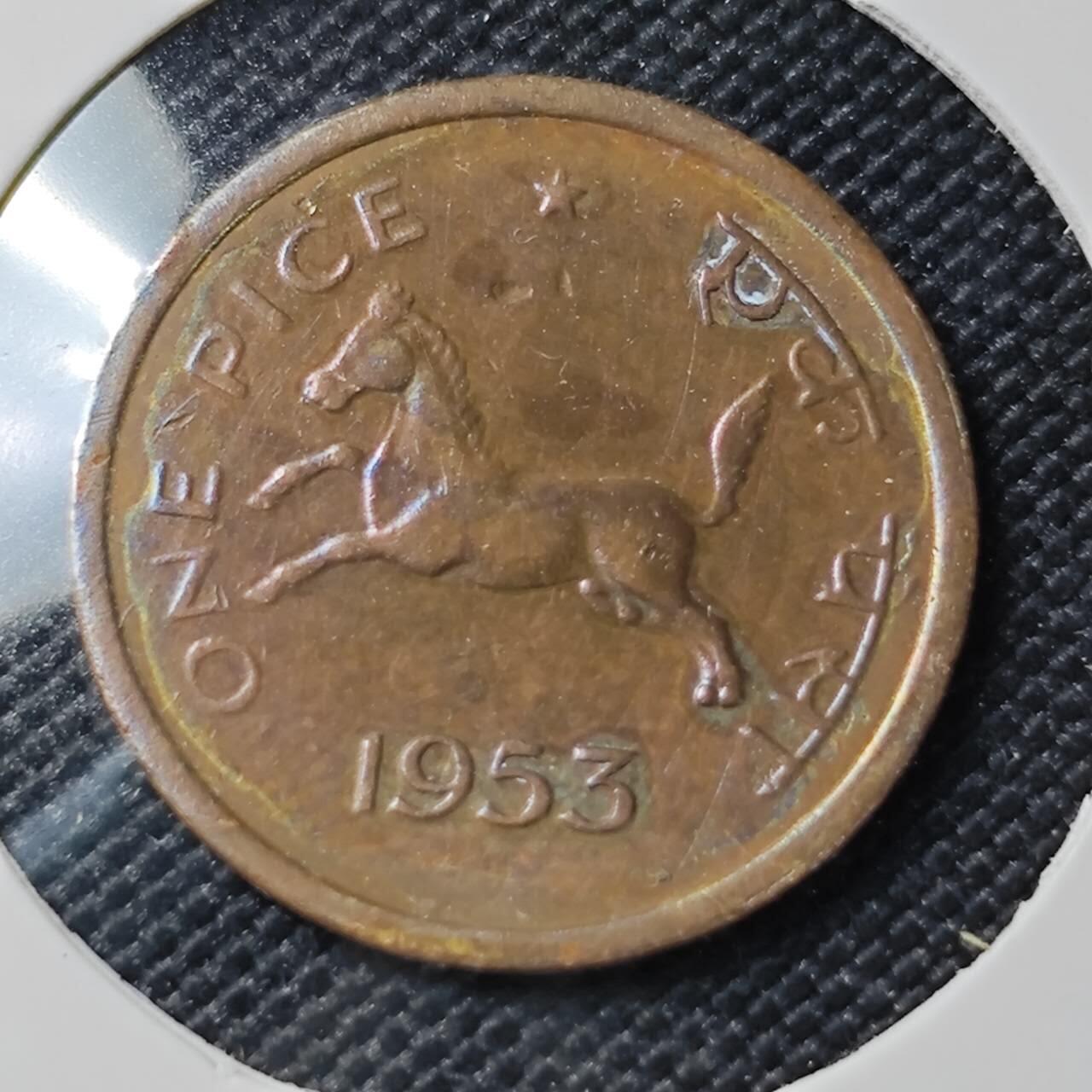 KK钱币收藏小铺 第382期  2月预留时间 周末发货  1953印度1派沙 铜币小马!