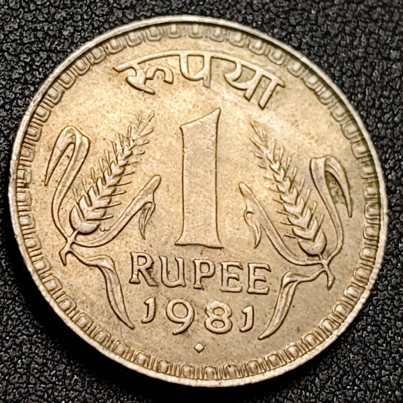 泉币菌-第148场-精品福利场 。