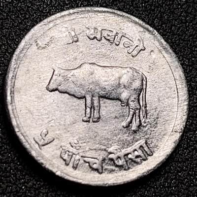 泉币菌-第148场-精品福利场 - 牦牛 尼泊尔5派沙硬币 70年代 直径20.5MM 铝币 