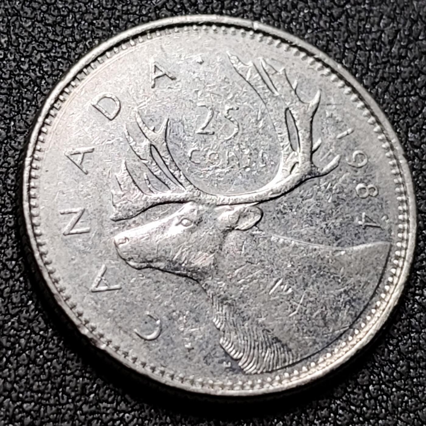 泉币菌-第148场-精品福利场 。