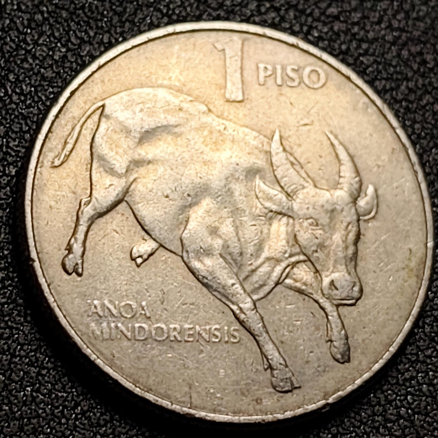 泉币菌-第148场-精品福利场 。