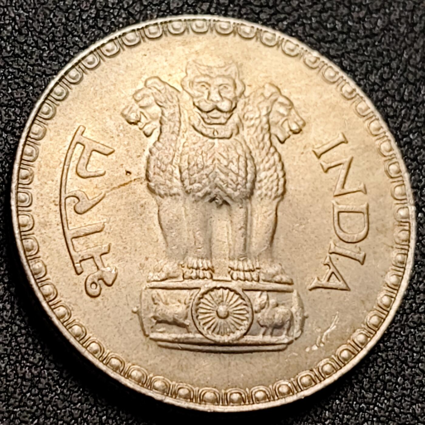 泉币菌-第148场-精品福利场 。