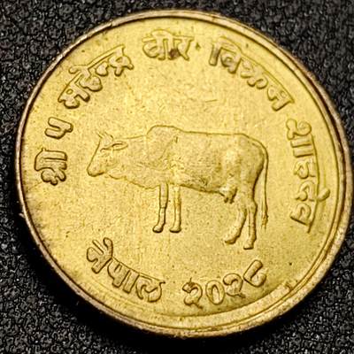 泉币菌-第150场-精品福利场 - 铜光美品 尼泊尔1971年麦穗版FAO纪念币10派沙 铜锌 21mm 