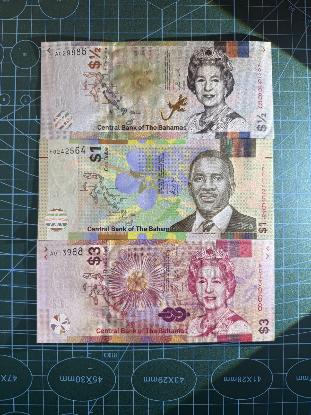 【炜奕收藏】，第五十三期