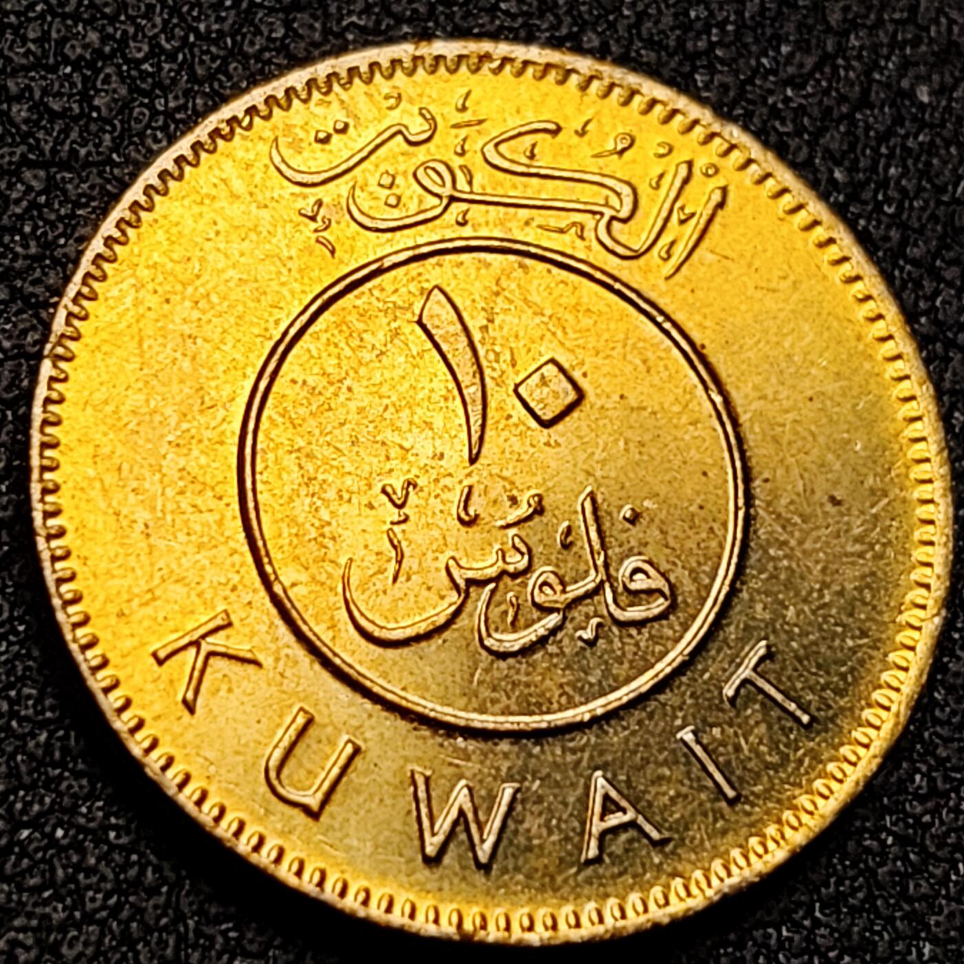 泉币菌-第150场-精品福利场 。