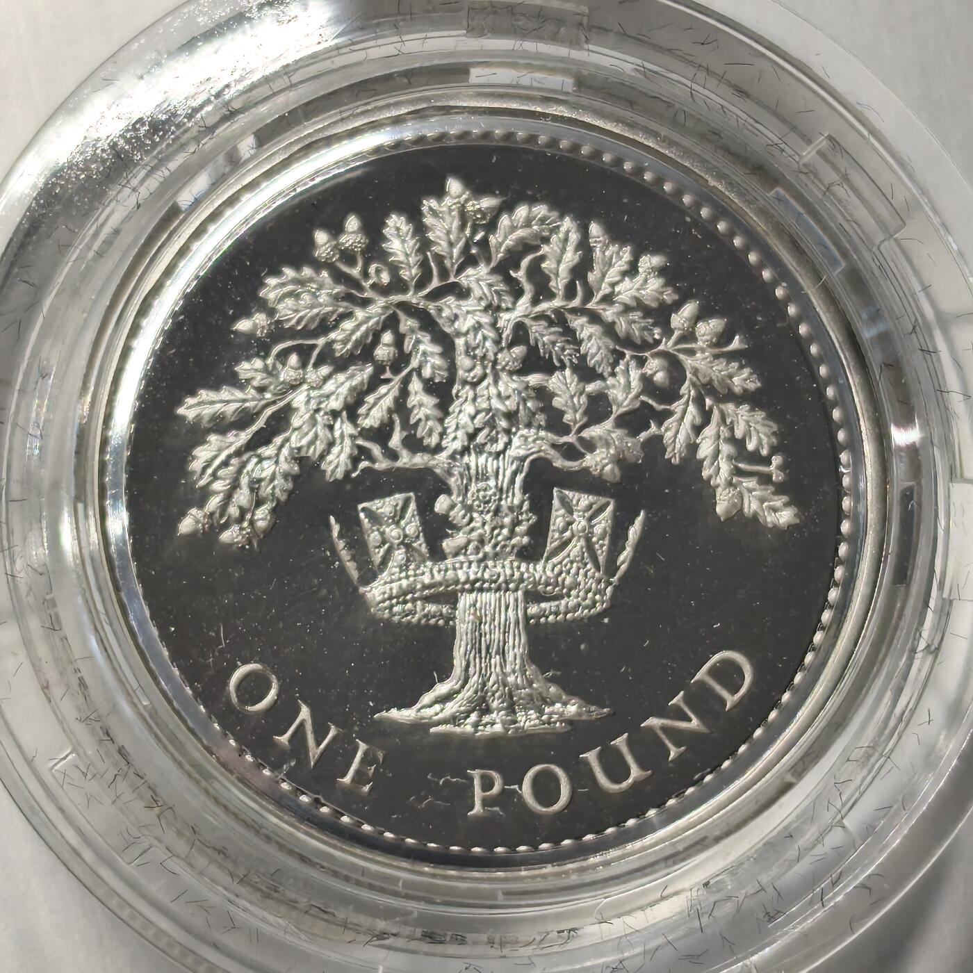 老蟹的宝藏🏴‍☠️ V