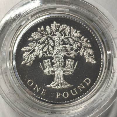 老蟹的宝藏🏴‍☠️ V - 英国1987年1镑银币