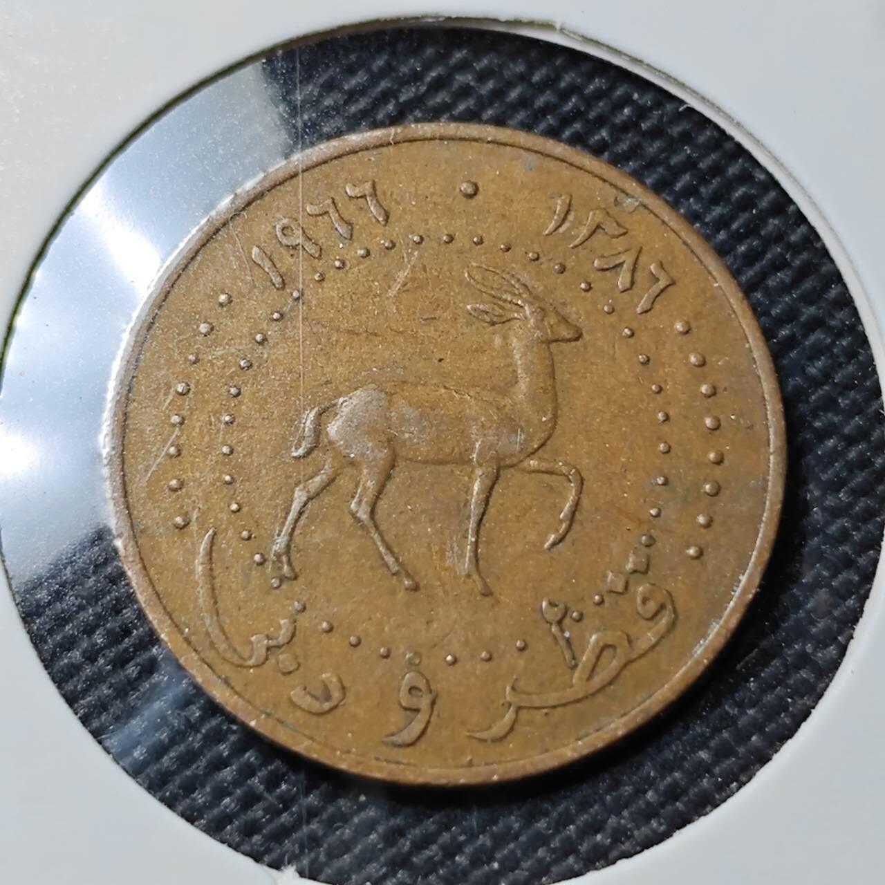 KK钱币收藏小铺 第381期  2月预留时间 周末发货