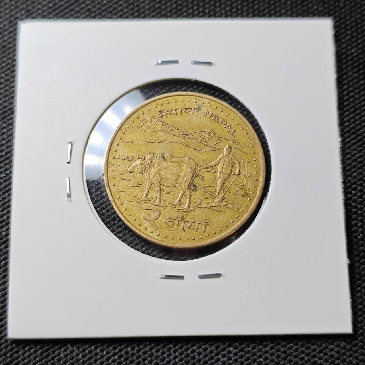 KK钱币收藏小铺 第381期  2月预留时间 周末发货