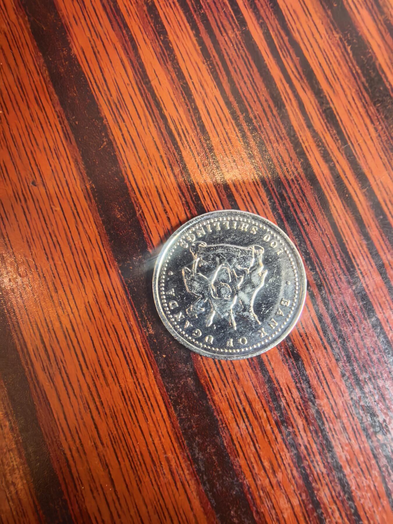 泡泡币外币四十场可代拍15038385335微信