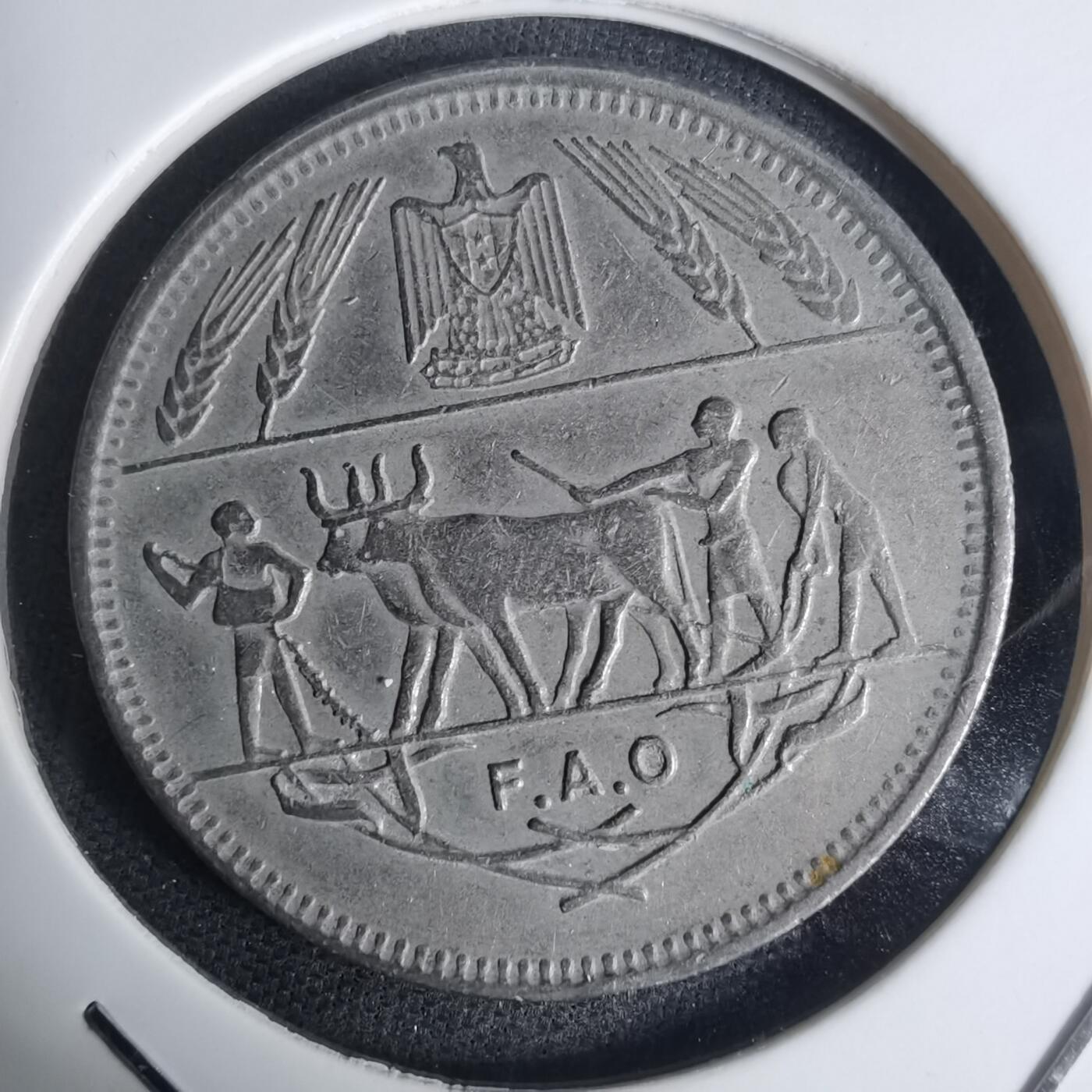 沼泽如烟--第936场 埃及纪念币