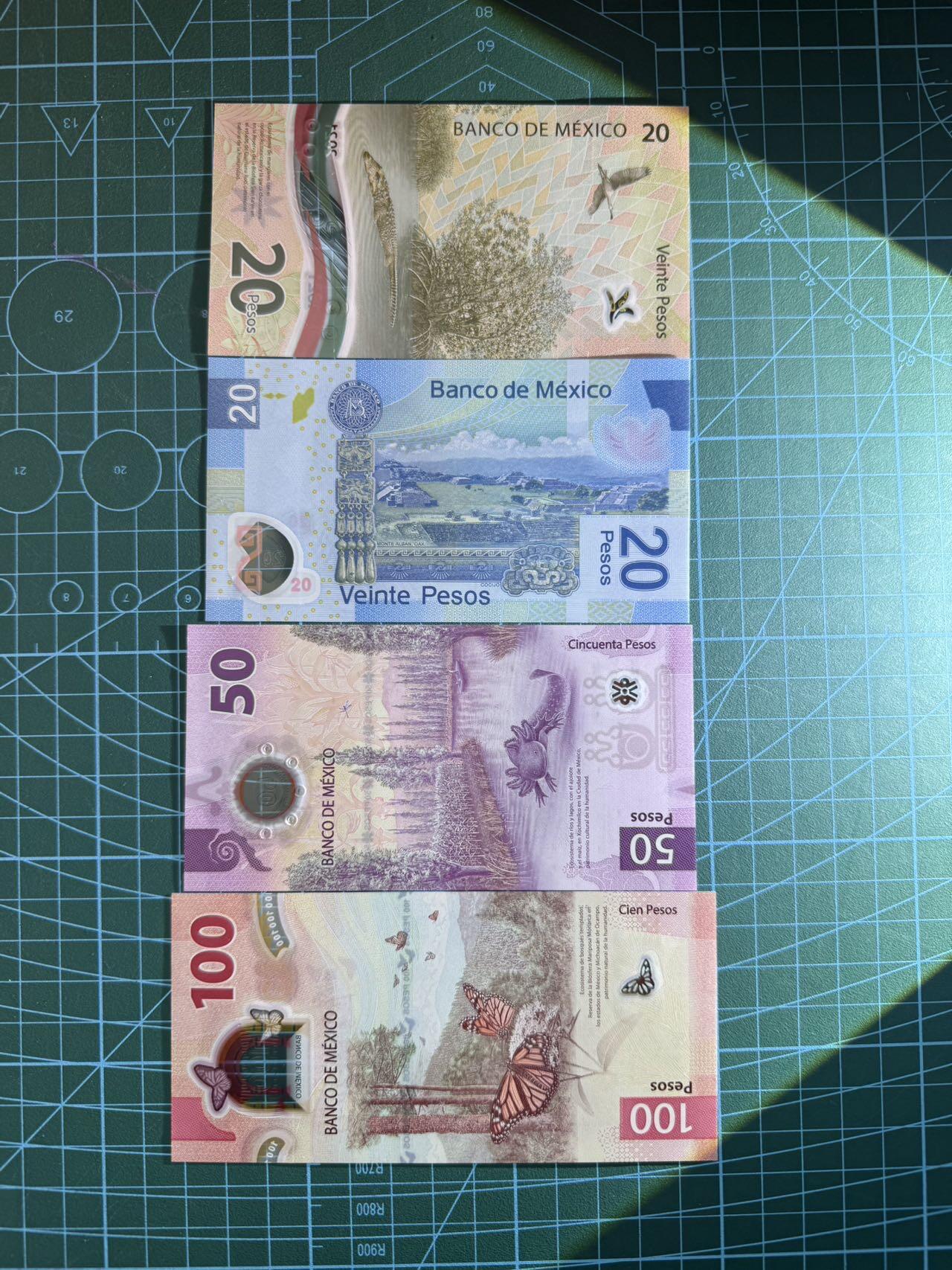 【炜奕收藏】，第五十三期