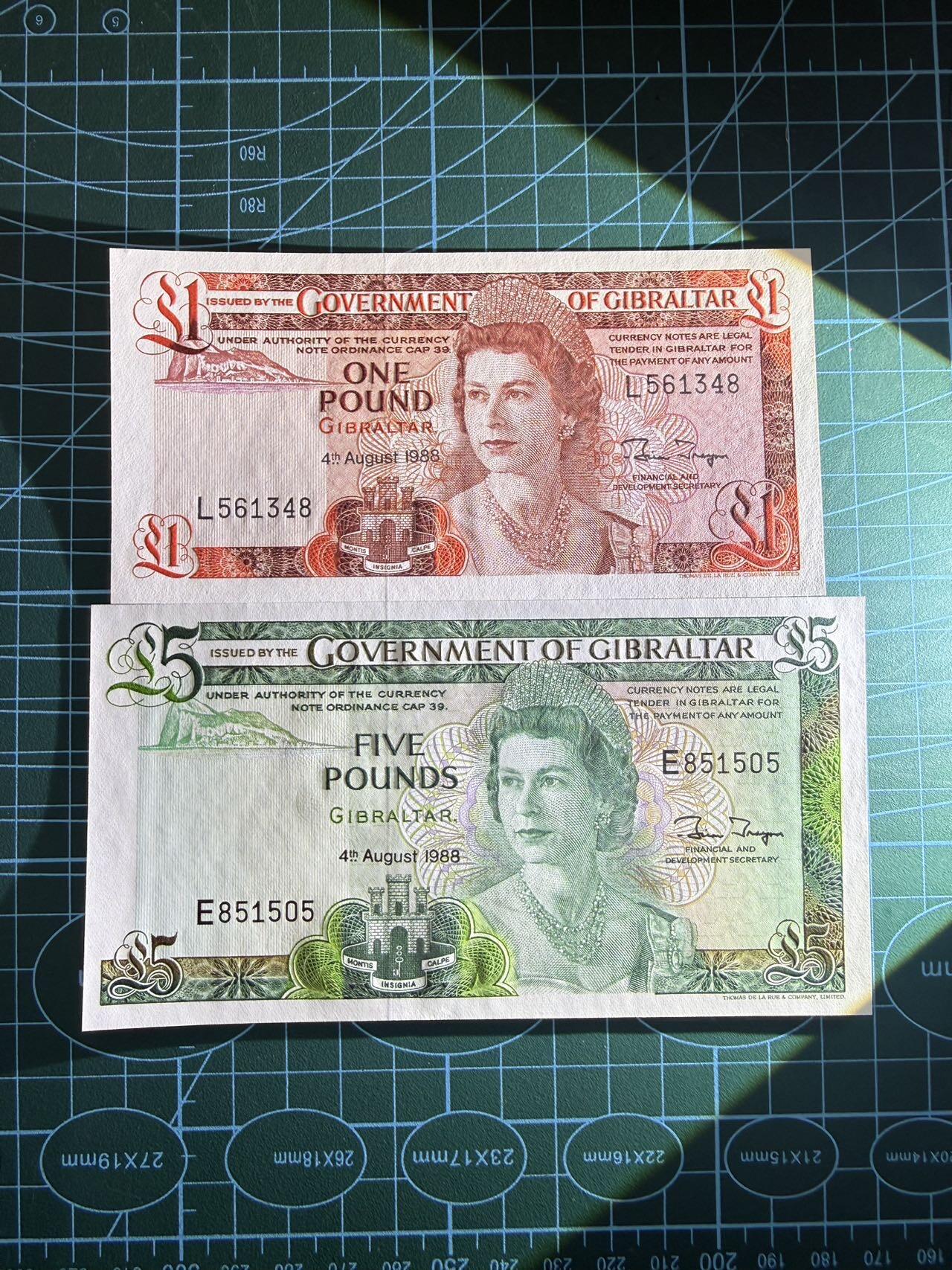 【炜奕收藏】，第五十三期