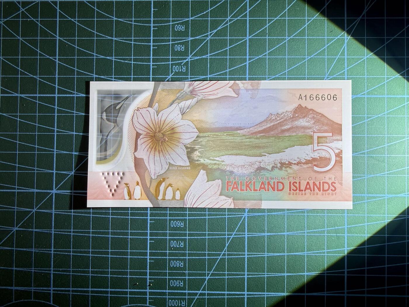 【炜奕收藏】，第五十三期