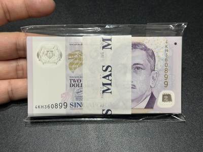 《外钞收藏家》第五百九十四期（畅拍场）（本平台长期征集拍品、欢迎藏友们联系合作） - 新加坡塑料钞版2元 100张一起 全新