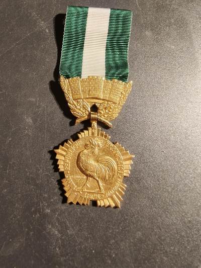 老王徽章第170期 - 意大利金级地方嘉奖奖章    银质镀金    20.7g