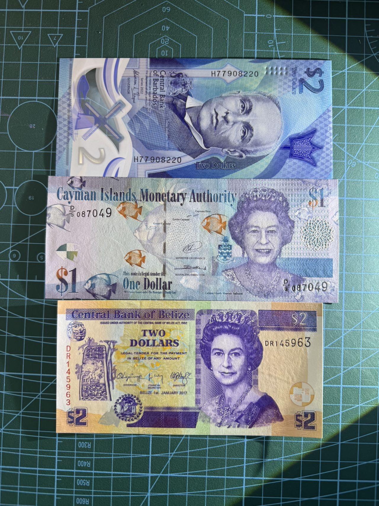 【炜奕收藏】，第五十三期