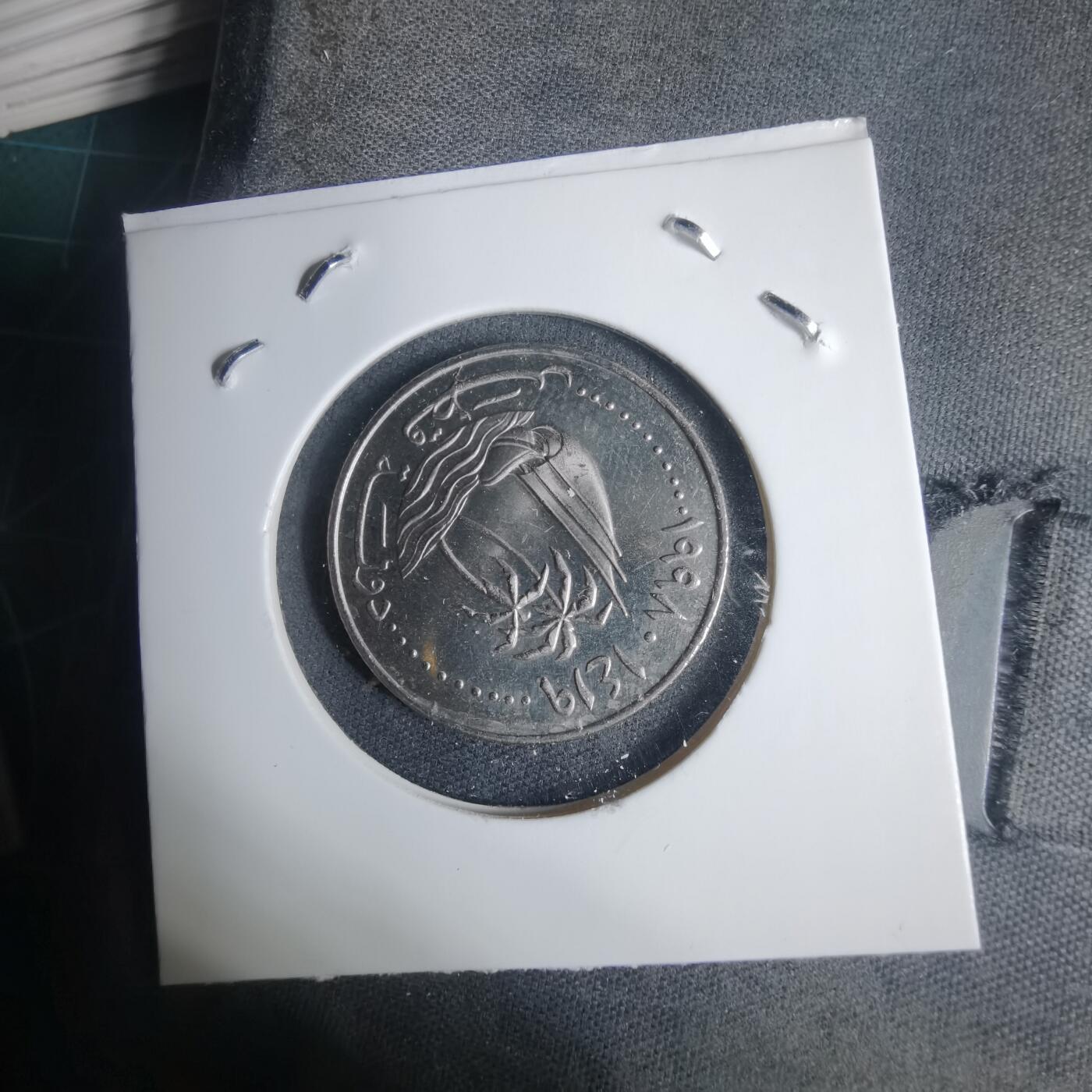 沼泽如烟--第937场 卡塔尔