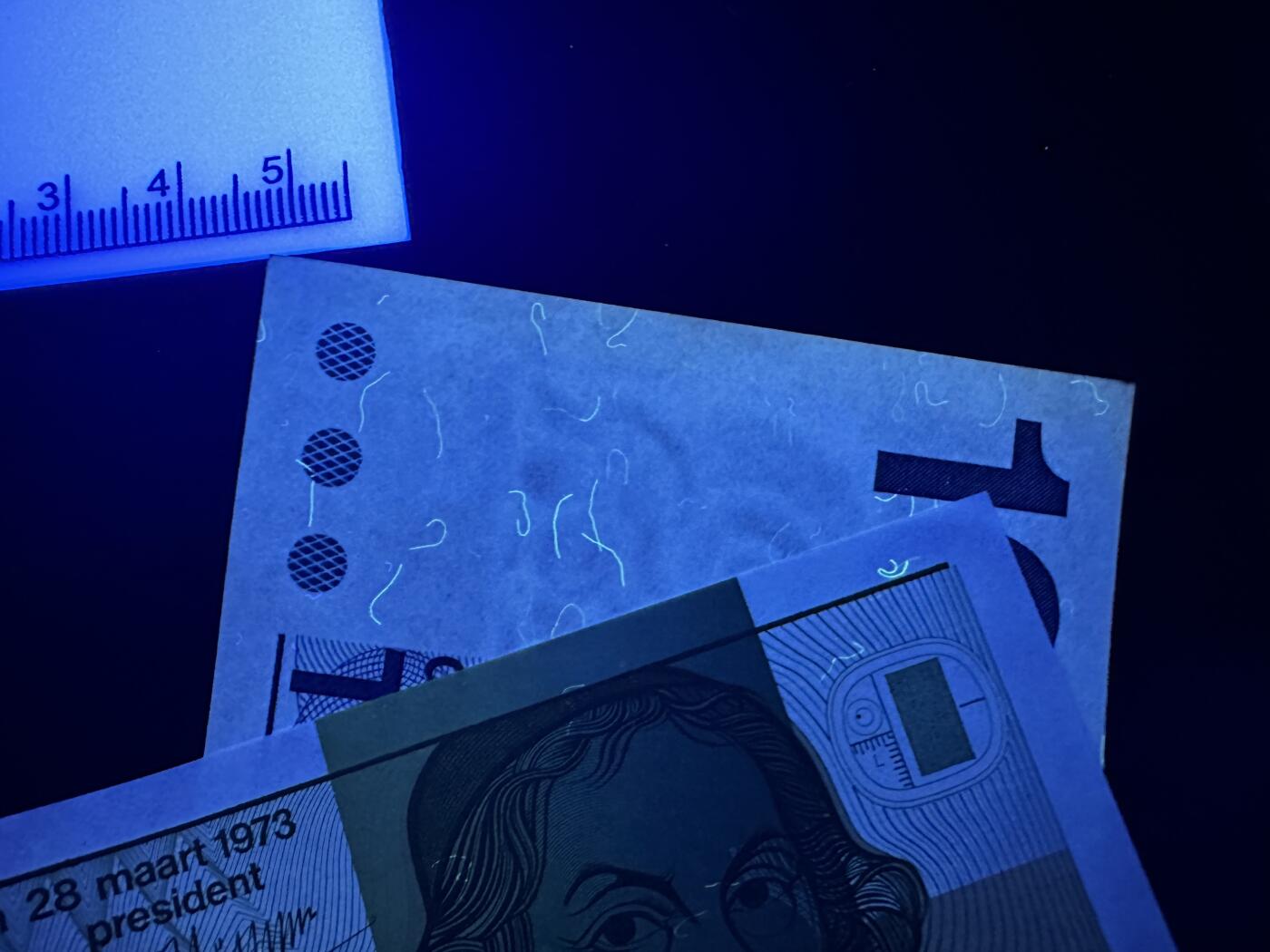 《外钞收藏家》第五百九十四期（畅拍场）（本平台长期征集拍品、欢迎藏友们联系合作） 荷兰人像版5盾全新+10盾UNC-（边泛黄）