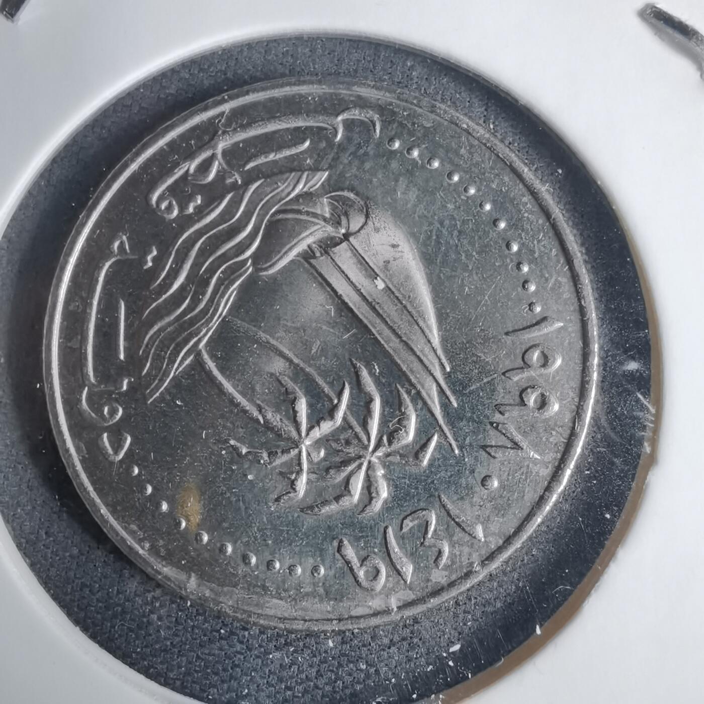 沼泽如烟--第937场 卡塔尔