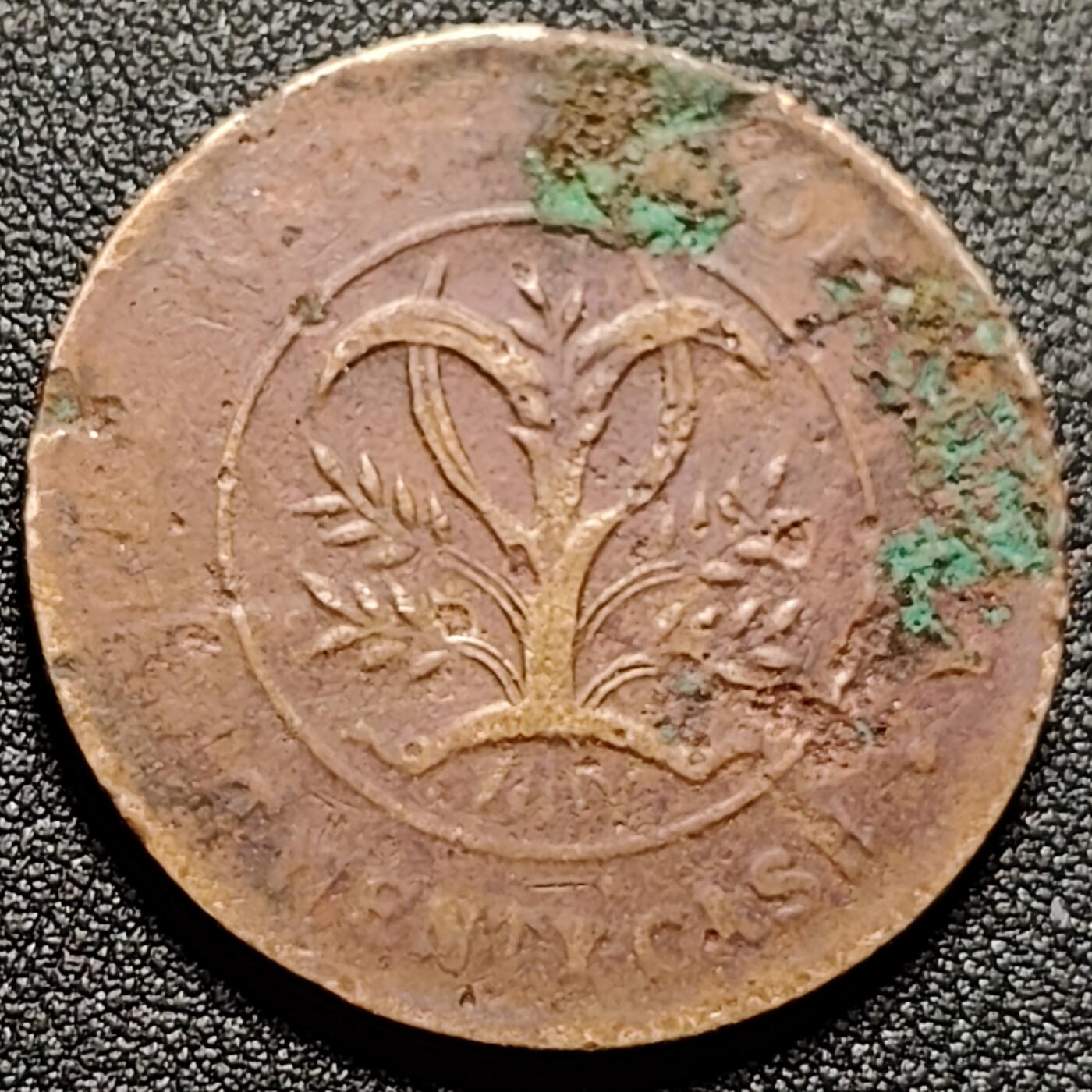 泉币菌-第149场-精品福利场 。