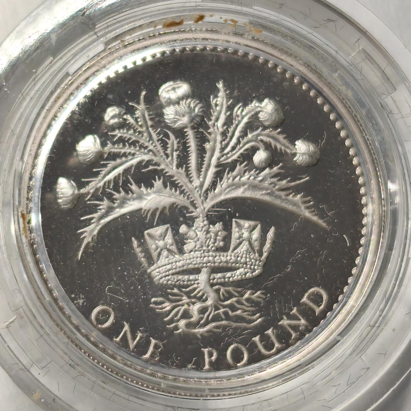 老蟹的宝藏🏴‍☠️ V 英国1989年1镑银币