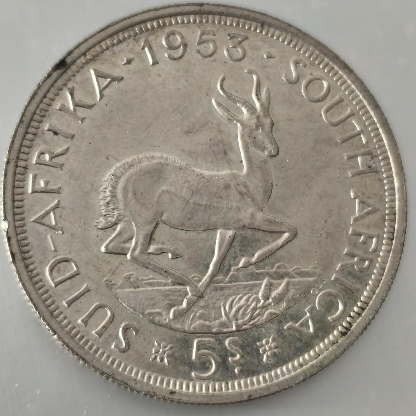 老蟹的宝藏🏴‍☠️ V