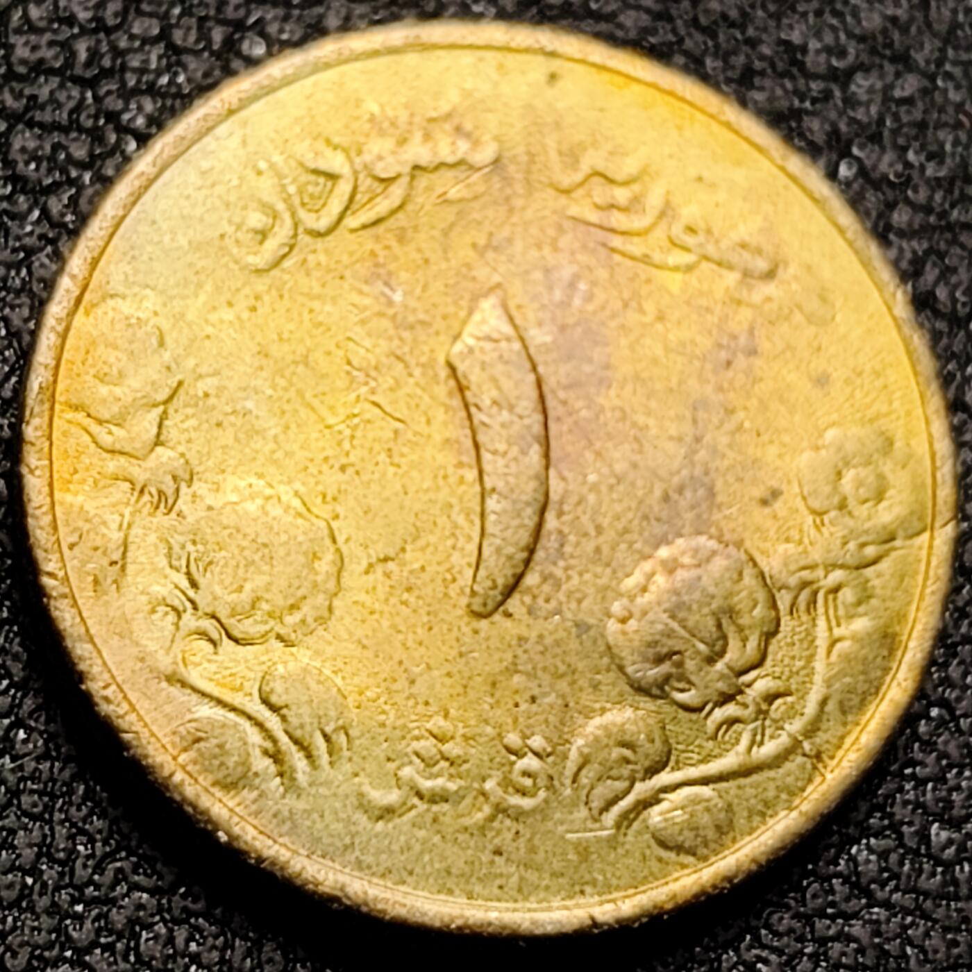 泉币菌-第148场-精品福利场 。