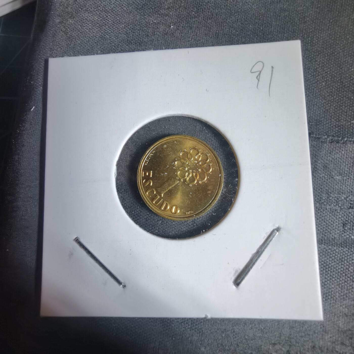 沼泽如烟--第937场