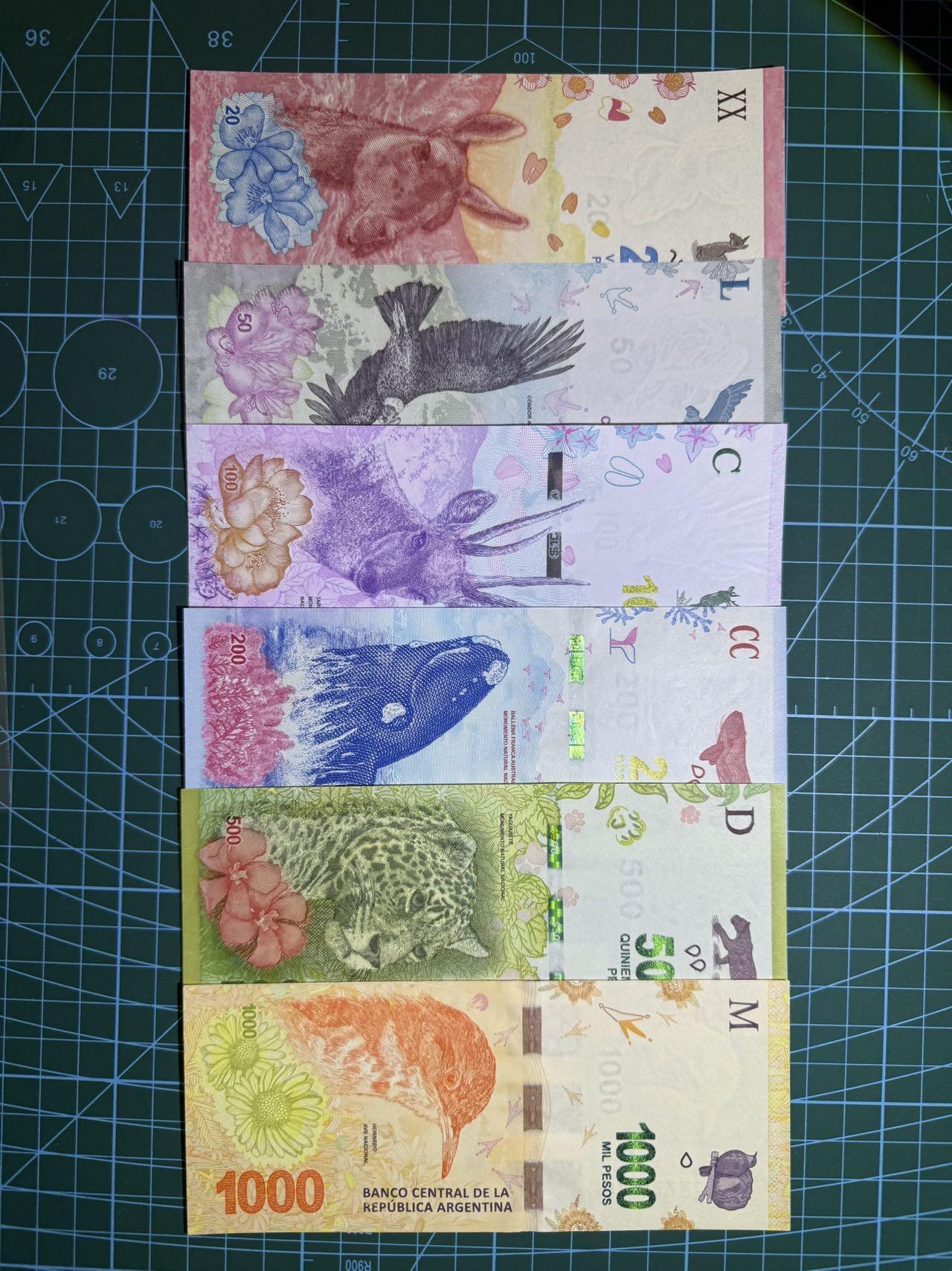 【炜奕收藏】，第五十三期